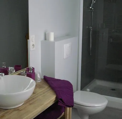 Bed & Breakfast D'hotes Noir Lion